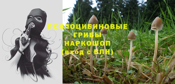 героин Алексин