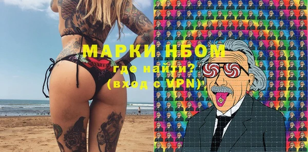 индика Магас