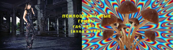 дурь Алексеевка