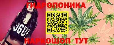 бошки Донецк