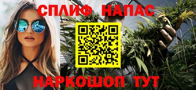 прущие грибы Донской