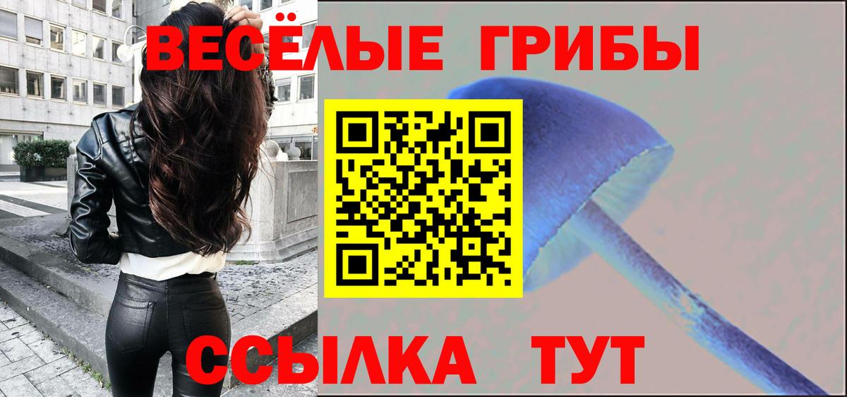 магазин продажи   Вход с VPN  Обнинск  Галлюциногенные грибы Cubensis 
